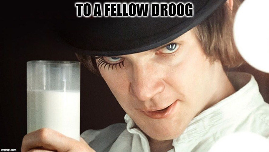 TO A FELLOW DROOG | made w/ Imgflip meme maker