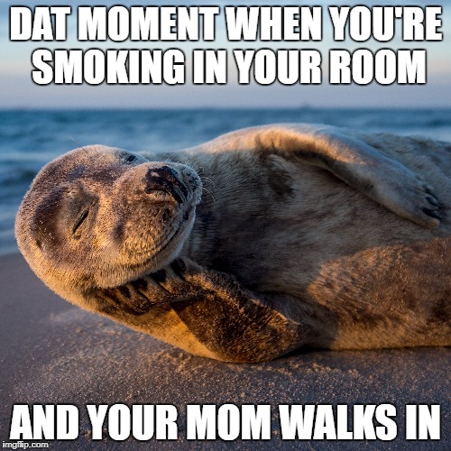 DAT MOMENT WHEN YOU'RE SMOKING IN YOUR ROOM; AND YOUR MOM WALKS IN | image tagged in smoking | made w/ Imgflip meme maker