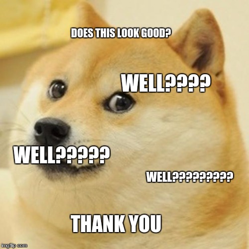 Doge | DOES THIS LOOK GOOD? WELL???? WELL????? WELL????????? THANK YOU | image tagged in memes,doge | made w/ Imgflip meme maker
