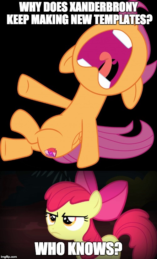 Who knows, and frankly, who cares? | WHY DOES XANDERBRONY KEEP MAKING NEW TEMPLATES? WHO KNOWS? | image tagged in memes,frightened scootaloo,angry applebloom,xanderbrony,new template,who knows | made w/ Imgflip meme maker