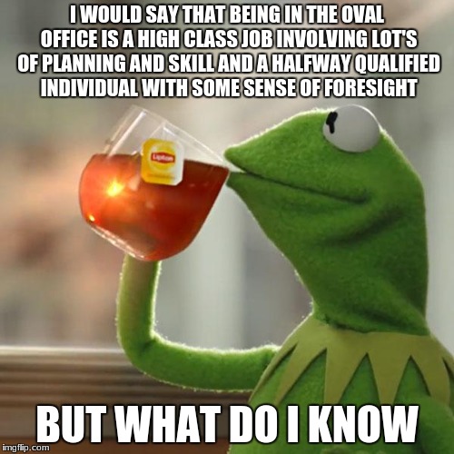 But That's None Of My Business Meme | I WOULD SAY THAT BEING IN THE OVAL OFFICE IS A HIGH CLASS JOB INVOLVING LOT'S OF PLANNING AND SKILL AND A HALFWAY QUALIFIED INDIVIDUAL WITH SOME SENSE OF FORESIGHT; BUT WHAT DO I KNOW | image tagged in memes,but thats none of my business,kermit the frog | made w/ Imgflip meme maker