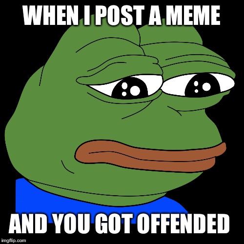 WHEN I POST A MEME; AND YOU GOT OFFENDED | image tagged in frog | made w/ Imgflip meme maker