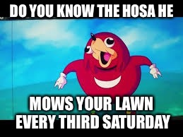 DO YOU KNOW THE HOSA HE; MOWS YOUR LAWN EVERY THIRD SATURDAY | image tagged in do you know the way | made w/ Imgflip meme maker