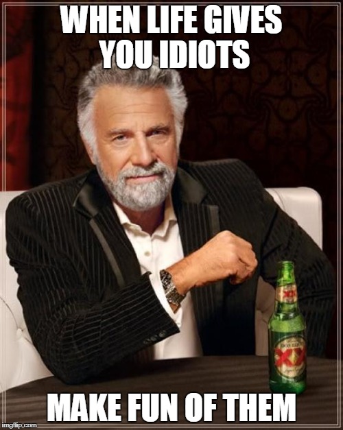 The Most Interesting Man In The World Meme | WHEN LIFE GIVES YOU IDIOTS; MAKE FUN OF THEM | image tagged in memes,the most interesting man in the world | made w/ Imgflip meme maker