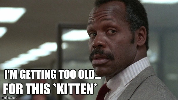FOR THIS *KITTEN*; I'M GETTING TOO OLD... | made w/ Imgflip meme maker