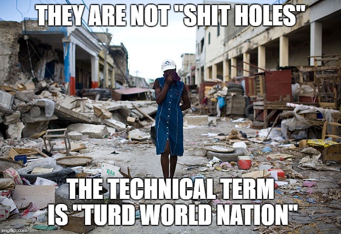 Haiti Ghetto 200 Years | THEY ARE NOT "SHIT HOLES"; THE TECHNICAL TERM IS "TURD WORLD NATION" | image tagged in haiti ghetto 200 years | made w/ Imgflip meme maker