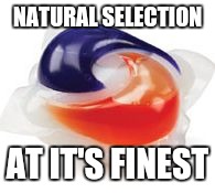 Gotta weed out the idiots somehow | NATURAL SELECTION; AT IT'S FINEST | image tagged in tide pod,memes | made w/ Imgflip meme maker