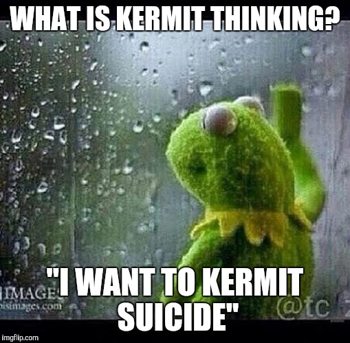 Kermit | WHAT IS KERMIT THINKING? "I WANT TO KERMIT SUICIDE" | image tagged in kermit | made w/ Imgflip meme maker