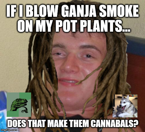 Dahmerberry Kush | IF I BLOW GANJA SMOKE ON MY POT PLANTS... DOES THAT MAKE THEM CANNABALS? | image tagged in memes,stoner stanley,bad pun dog,10 guy,marijuana,philosoraptor | made w/ Imgflip meme maker