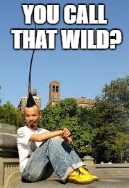 YOU CALL THAT WILD? | made w/ Imgflip meme maker