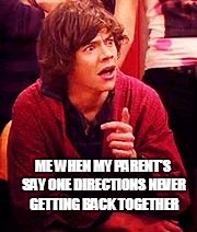 Shocked One Direction | ME WHEN MY PARENT'S SAY ONE DIRECTIONS NEVER GETTING BACK TOGETHER | image tagged in shocked one direction | made w/ Imgflip meme maker