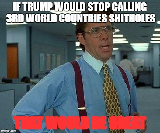 That Would Be Great Meme | IF TRUMP WOULD STOP CALLING 3RD WORLD COUNTRIES SHITHOLES; THAT WOULD BE GREAT | image tagged in memes,that would be great | made w/ Imgflip meme maker