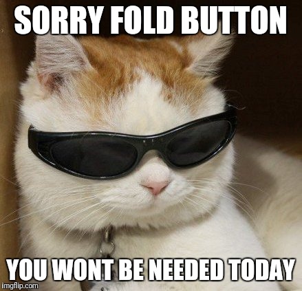 cat in sunglasses | SORRY FOLD BUTTON; YOU WONT BE NEEDED TODAY | image tagged in cat in sunglasses | made w/ Imgflip meme maker