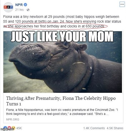 Just like your mom... | JUST LIKE YOUR MOM | image tagged in yo momma so fat,hippo,really fat girl,hippopotamus,your mom | made w/ Imgflip meme maker
