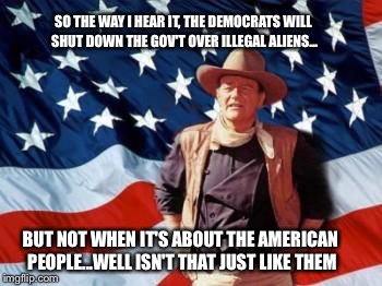 John Wayne American Flag | SO THE WAY I HEAR IT, THE DEMOCRATS WILL SHUT DOWN THE GOV'T OVER ILLEGAL ALIENS... BUT NOT WHEN IT'S ABOUT THE AMERICAN PEOPLE...WELL ISN'T THAT JUST LIKE THEM | image tagged in john wayne american flag | made w/ Imgflip meme maker