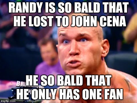 Randy Orton | RANDY IS SO BALD THAT HE LOST TO JOHN CENA; HE SO BALD THAT HE ONLY HAS ONE FAN | image tagged in randy orton | made w/ Imgflip meme maker