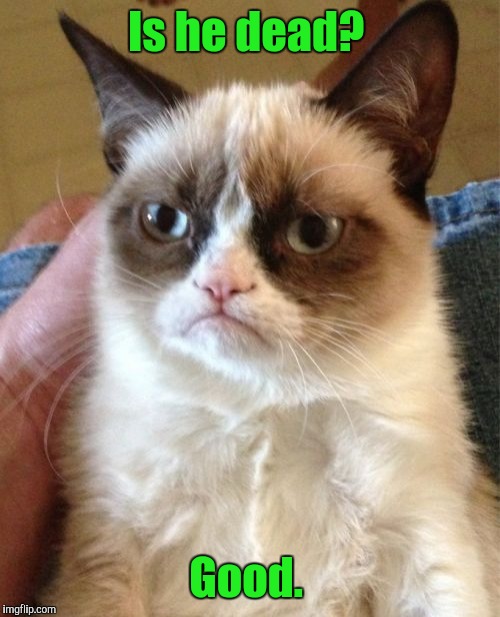 Grumpy Cat Meme | Is he dead? Good. | image tagged in memes,grumpy cat | made w/ Imgflip meme maker