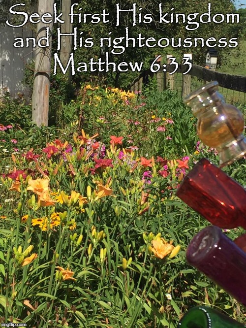 Seek first His kingdom and His righteousness Matthew 6:33 | image tagged in scripture,flowers | made w/ Imgflip meme maker