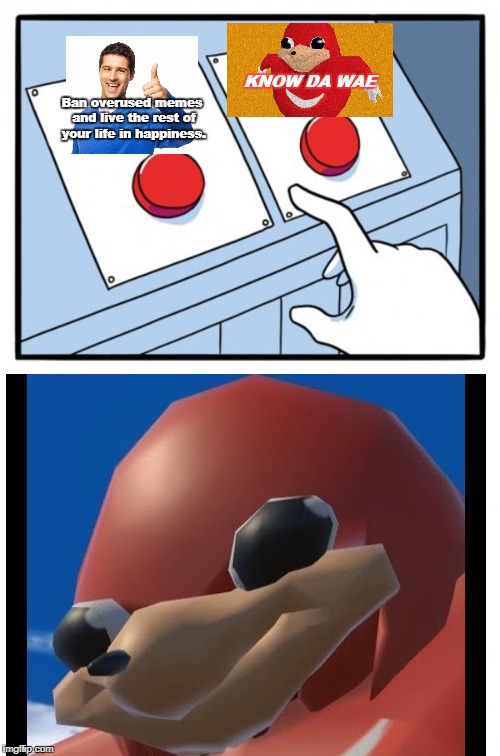 StReSS tHE fREaK oUT | KNOW DA WAE; Ban overused memes and live the rest of your life in happiness. | image tagged in do you know the way,two buttons,memes | made w/ Imgflip meme maker