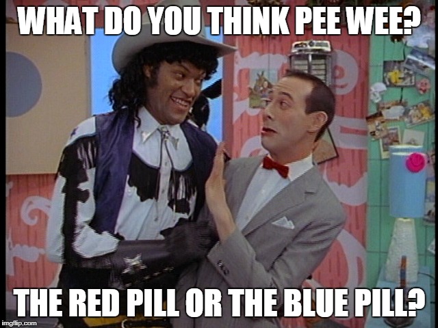 Pee Wee Herman Which Pill | WHAT DO YOU THINK PEE WEE? THE RED PILL OR THE BLUE PILL? | image tagged in pee wee herman,memes,matrix,morpheus | made w/ Imgflip meme maker