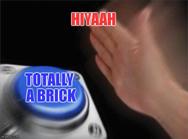 Blank Nut Button Meme | HIYAAH; TOTALLY A BRICK | image tagged in memes,blank nut button | made w/ Imgflip meme maker