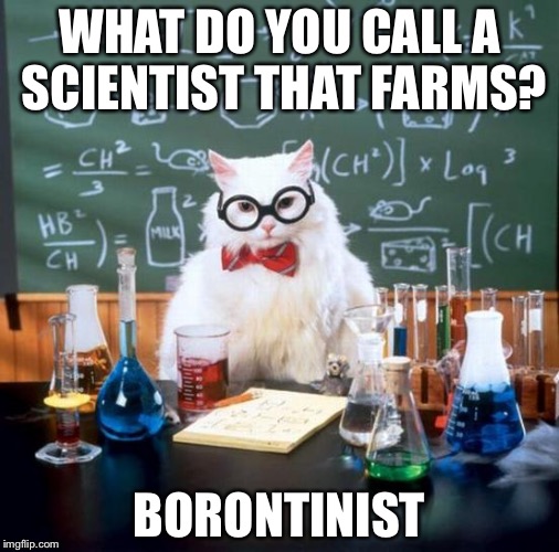 Do you get the joke? Boton, Boron, worth a shot. | WHAT DO YOU CALL A SCIENTIST THAT FARMS? BORONTINIST | image tagged in memes,chemistry cat,science,funny | made w/ Imgflip meme maker