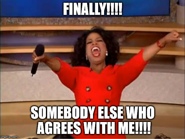 Oprah You Get A Meme | FINALLY!!!! SOMEBODY ELSE WHO AGREES WITH ME!!!! | image tagged in memes,oprah you get a | made w/ Imgflip meme maker