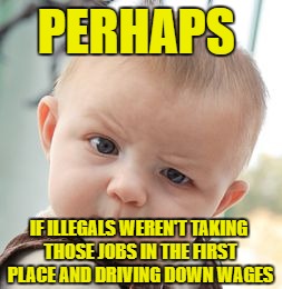 Skeptical Baby Meme | PERHAPS IF ILLEGALS WEREN'T TAKING THOSE JOBS IN THE FIRST PLACE AND DRIVING DOWN WAGES | image tagged in memes,skeptical baby | made w/ Imgflip meme maker