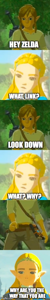 Link got 'em |  HEY ZELDA; WHAT, LINK? LOOK DOWN; WHAT? WHY? WHY ARE YOU THE WAY THAT YOU ARE | image tagged in zelda,legend of zelda,the legend of zelda breath of the wild,funny,memes | made w/ Imgflip meme maker