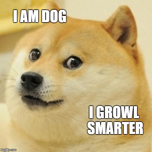 Doge | I AM DOG; I GROWL SMARTER | image tagged in memes,doge | made w/ Imgflip meme maker
