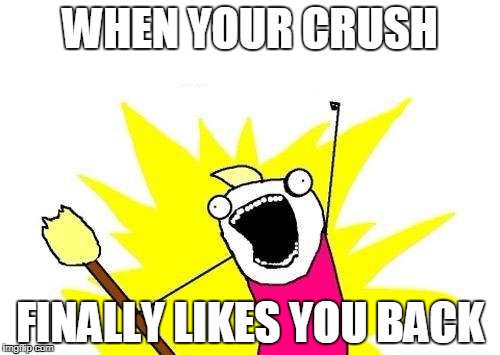 X All The Y | WHEN YOUR CRUSH; FINALLY LIKES YOU BACK | image tagged in memes,x all the y | made w/ Imgflip meme maker