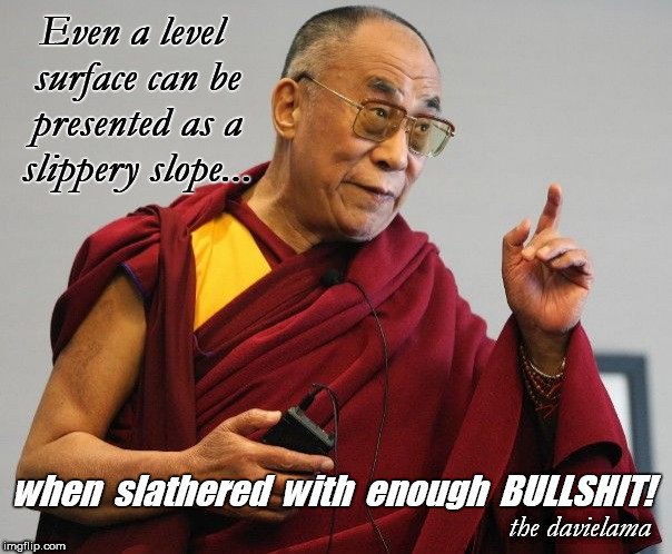 dalailama finger | Even a level surface can be presented as a slippery slope... when  slathered  with  enough  BULLSHIT! the davielama | image tagged in dalailama finger | made w/ Imgflip meme maker