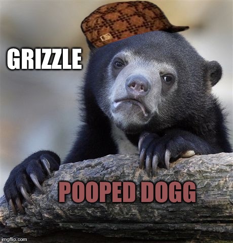 Confession Brizzle | GRIZZLE; POOPED DOGG | image tagged in memes,confession bear,scumbag | made w/ Imgflip meme maker