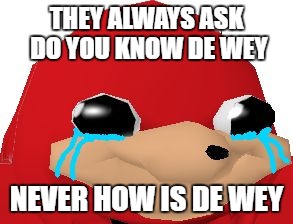 You guys hurt his feelings... | THEY ALWAYS ASK DO YOU KNOW DE WEY; NEVER HOW IS DE WEY | image tagged in crying ugandan knuckles transparent,memes,ugandan knuckles | made w/ Imgflip meme maker