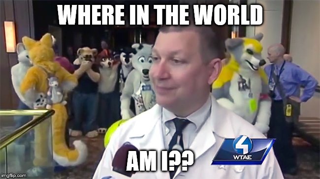 This is what people call Fandom good sir. | WHERE IN THE WORLD; AM I?? | image tagged in furry,convention,where am i | made w/ Imgflip meme maker