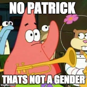 No Patrick Meme | NO PATRICK; THATS NOT A GENDER | image tagged in memes,no patrick | made w/ Imgflip meme maker