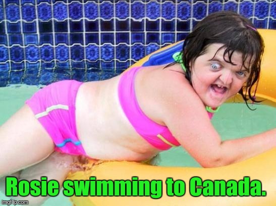 Rosie swimming to Canada. | made w/ Imgflip meme maker