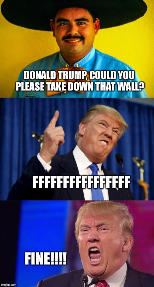 Memegrant | DONALD TRUMP, COULD YOU PLEASE TAKE DOWN THAT WALL? FFFFFFFFFFFFFFFF; FINE!!!! | image tagged in donald trump,political meme,funny memes,america | made w/ Imgflip meme maker