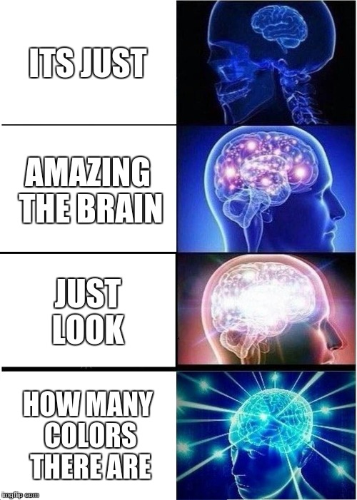 Expanding Brain Meme | ITS JUST; AMAZING THE BRAIN; JUST LOOK; HOW MANY COLORS THERE ARE | image tagged in memes,expanding brain | made w/ Imgflip meme maker