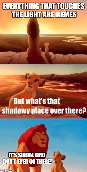 Simba Shadowy Place Meme | EVERYTHING THAT TOUCHES THE LIGHT ARE MEMES; IT'S SOCIAL LIFE! DON'T EVER GO THERE! | image tagged in memes,simba shadowy place | made w/ Imgflip meme maker