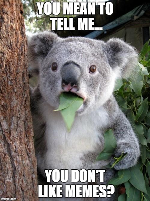 Surprised Koala | YOU MEAN TO TELL ME... YOU DON'T LIKE MEMES? | image tagged in memes,surprised koala | made w/ Imgflip meme maker