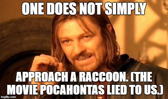 One Does Not Simply | ONE DOES NOT SIMPLY; APPROACH A RACCOON. (THE MOVIE POCAHONTAS LIED TO US.) | image tagged in memes,one does not simply | made w/ Imgflip meme maker