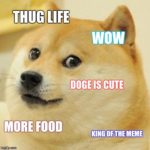 Doge | THUG LIFE; WOW; DOGE IS CUTE; MORE FOOD; KING OF THE MEME | image tagged in memes,doge,scumbag | made w/ Imgflip meme maker