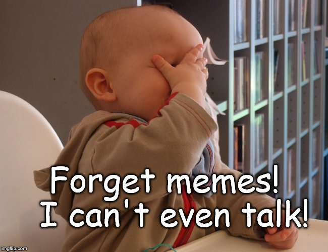 facepalm infink | Forget memes!  I can't even talk! | image tagged in facepalm infink | made w/ Imgflip meme maker