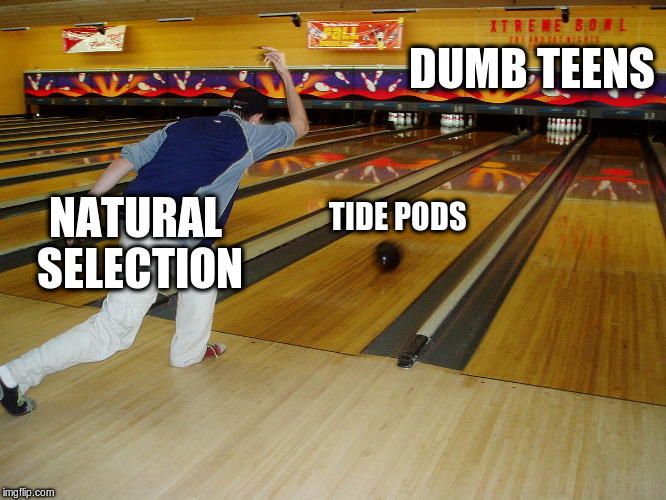 Let's call them Darwin Pods |  DUMB TEENS; NATURAL SELECTION; TIDE PODS | image tagged in memes tide pods | made w/ Imgflip meme maker