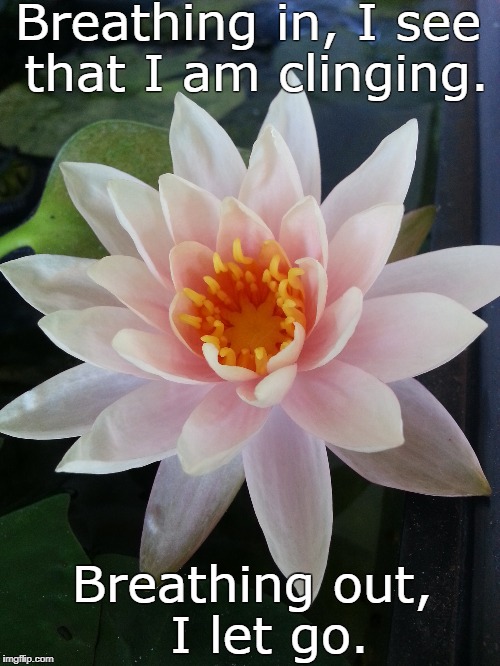 Let go.  | Breathing in,
I see that I am clinging. Breathing out, 
I let go. | image tagged in buddhism,meditation,breathing meditation,let go | made w/ Imgflip meme maker