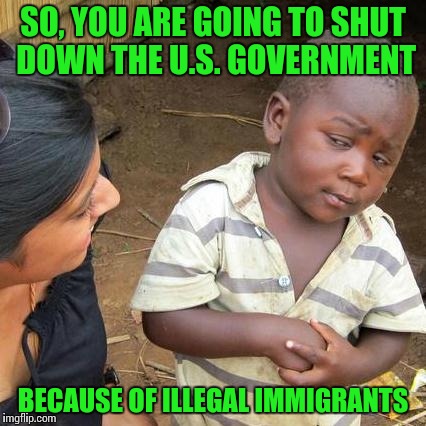 People here illegally are an excuse to shut down the government. Where are the priorities? | SO, YOU ARE GOING TO SHUT DOWN THE U.S. GOVERNMENT; BECAUSE OF ILLEGAL IMMIGRANTS | image tagged in memes,third world skeptical kid,government shutdown,pipe_picasso | made w/ Imgflip meme maker