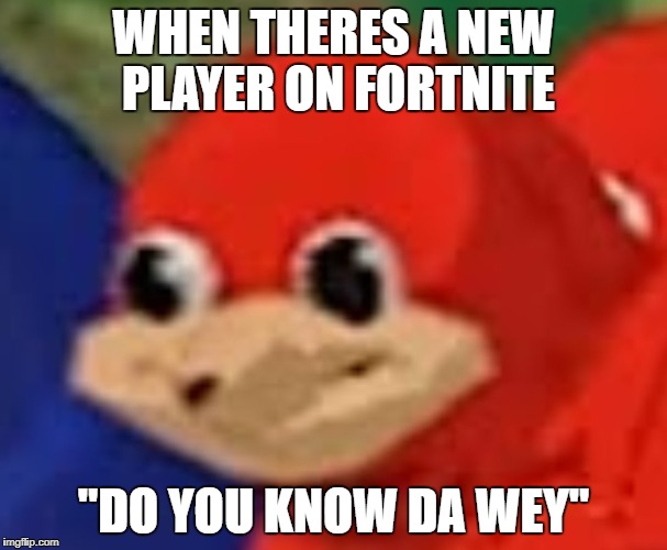 do you know da wey  | WHEN THERES A NEW PLAYER ON FORTNITE; "DO YOU KNOW DA WEY" | image tagged in do you know da wey | made w/ Imgflip meme maker