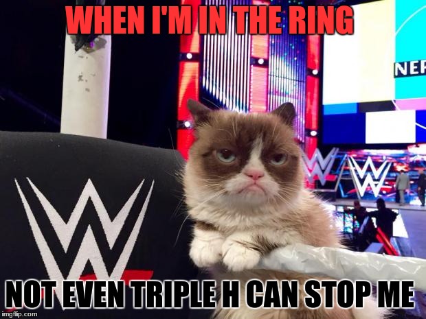 wwwe grumpy cat | WHEN I'M IN THE RING; NOT EVEN TRIPLE H CAN STOP ME | image tagged in wwwe grumpy cat | made w/ Imgflip meme maker
