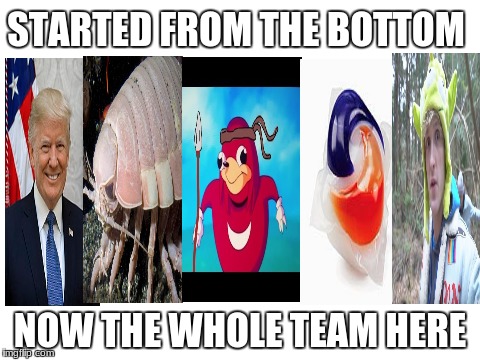 2018 | STARTED FROM THE BOTTOM; NOW THE WHOLE TEAM HERE | image tagged in blank white template,memes,dank memes,funny,dank,2018 | made w/ Imgflip meme maker